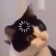 hqtruongmeomeo
