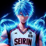 vidic_vn
