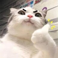 Leeminthank