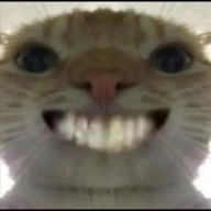 hungnt61h