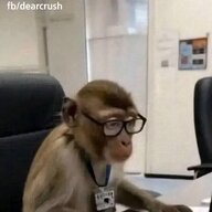 Daniel N