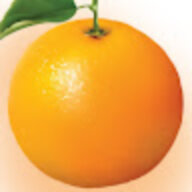 orange2654