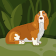 0379859504