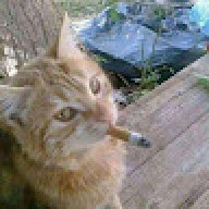 dvy_03
