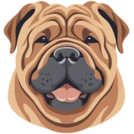 Shar Pei