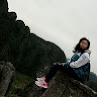 tingau