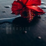mike_sinoda