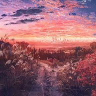 doan_2704