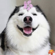 akaritun