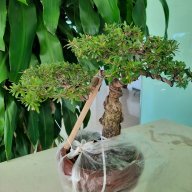 thanhdc2807