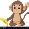 monkey11178