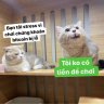 MrDraGon701