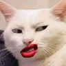 mingmang88