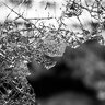 Night of Broken Glass