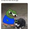 new members