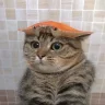 vantoancntt