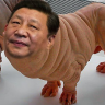 Địt Mẹ Súc Vật Tàu Nô