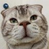 Kafka Streaming