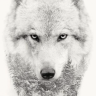LonewoIf