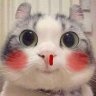 Lạczzz
