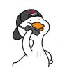 ChuotOngNoi