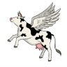 The Flying Cow