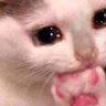 congato199