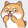 quynhnguyendtcn