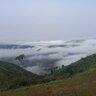 GaoNhai