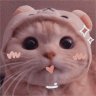 cuaitme