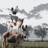 BeanGTA