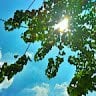 OpenSkyT
