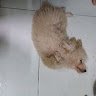 nỗi niềm cấp 3