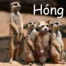 h ó n g