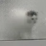 antarcticite