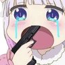 SnowFang