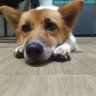 tuanchuai00