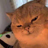 duongghzy