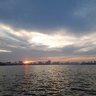 Người đi muôn nơi