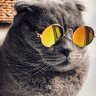 Meoram