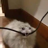 wuynkchi