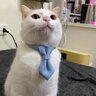 csminh09