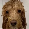 vuvjetz