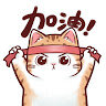 maotou