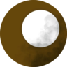 Trochoidangian11