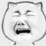 xiaoer237