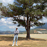 NPQPhong