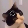hqtruongmeomeo