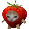 quynhneko