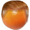 Agent Orange